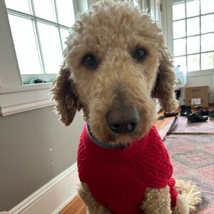 Meet your Posher, Hannah